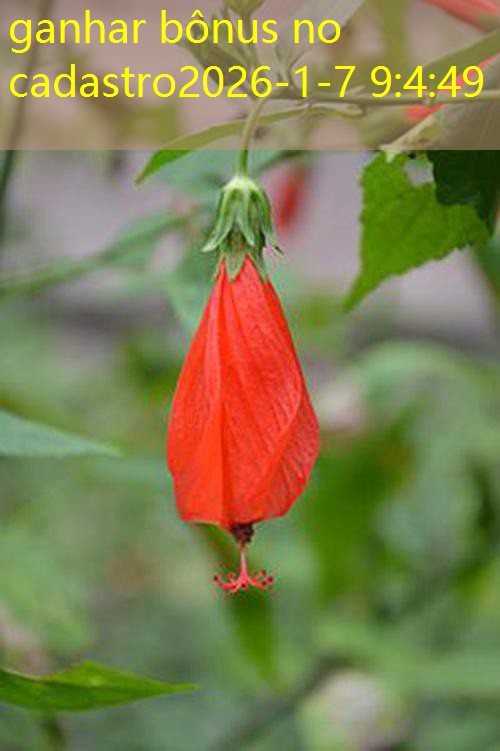 ganhar bônus no cadastro
